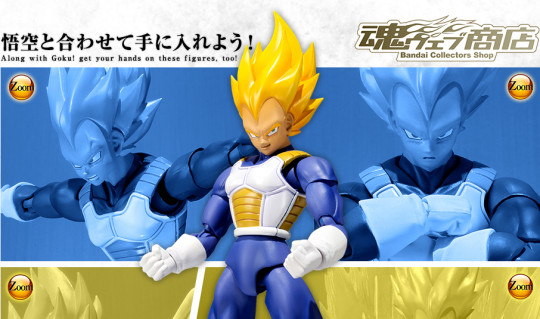 Super Saiyan Vegeta -Premium Color Edition-