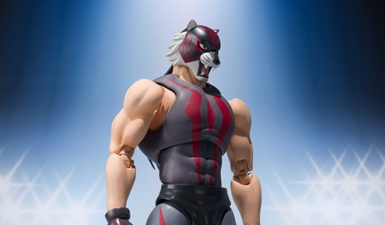 Tiger The Dark