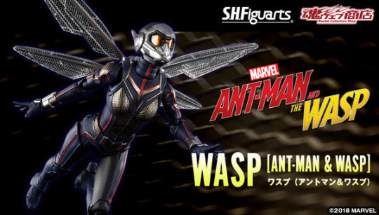 Wasp