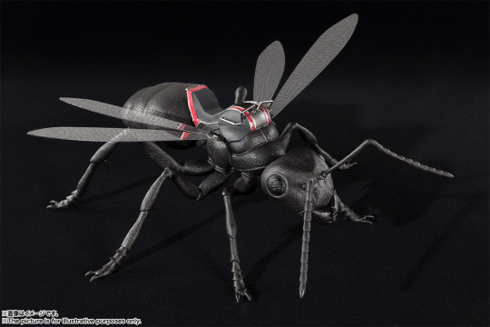 Ant