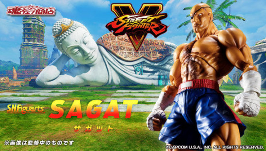 Sagat