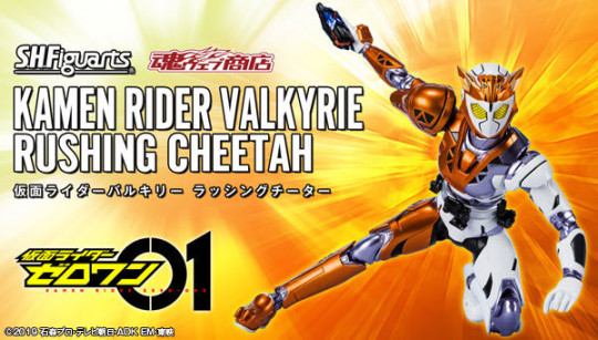 Kamen Rider Valkyrie