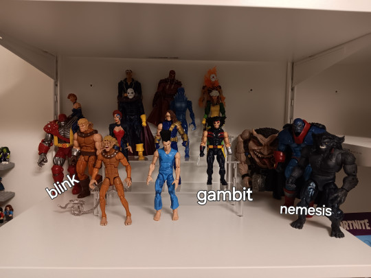 Display by Legendary Collector