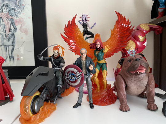 Display by Princess_Sparklefists