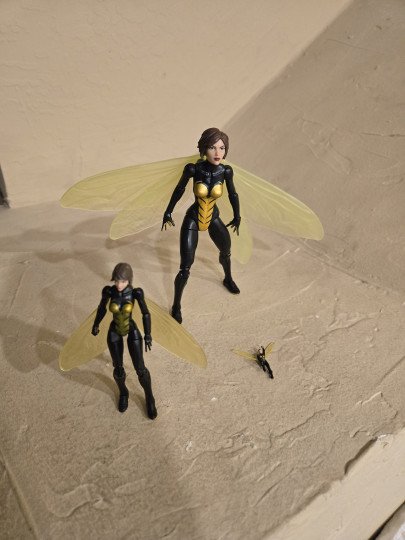 Wasp