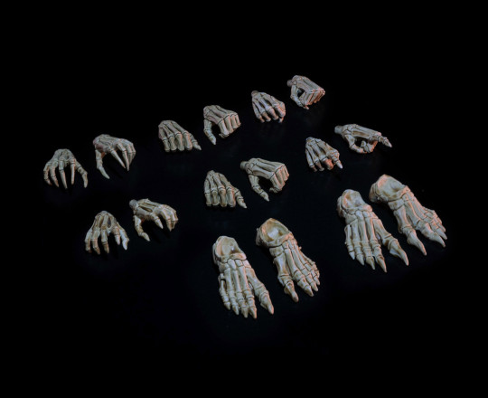 Skeletons Hands & Feet Pack