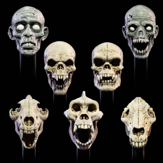 Undead Heads Pack