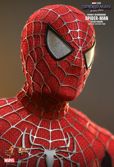 Friendly Neighborhood Spider-Man