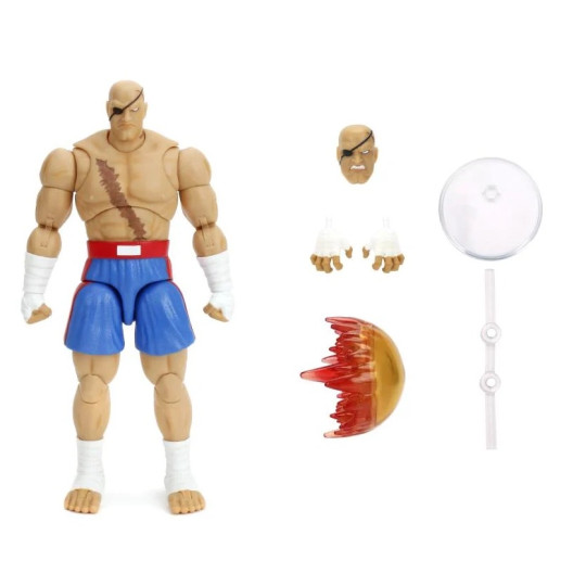 Sagat