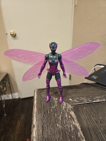 Beetle