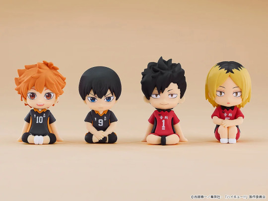 Plus: Shoyo Hinata Rubber Mascot