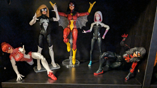 Display by Demyx
