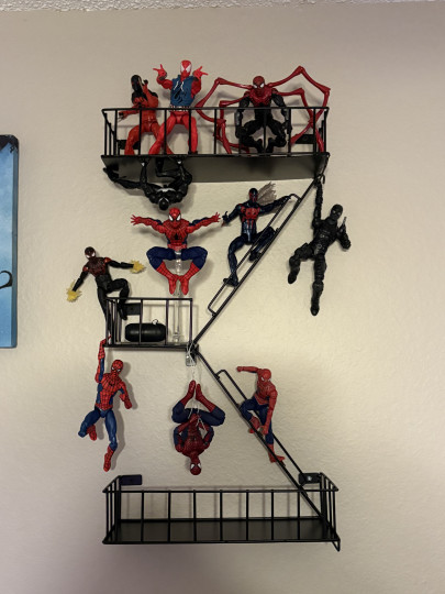 Display by Ralfyc