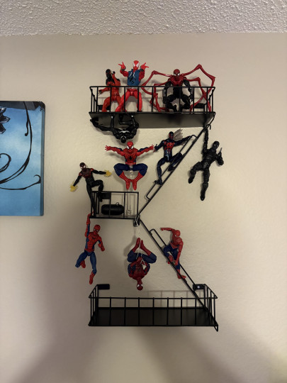 Display by Ralfyc