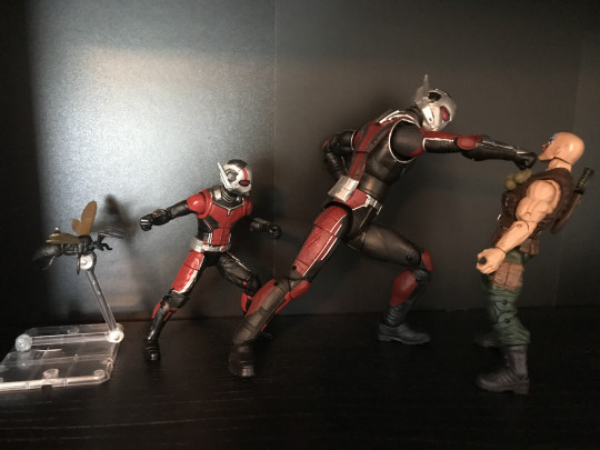 Display by Ralfyc