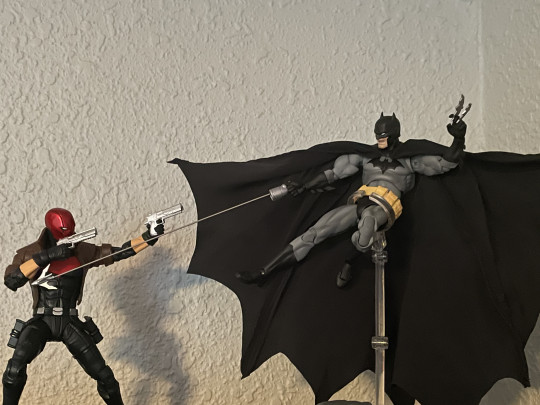 Display by Ralfyc