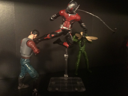 Display by Ralfyc