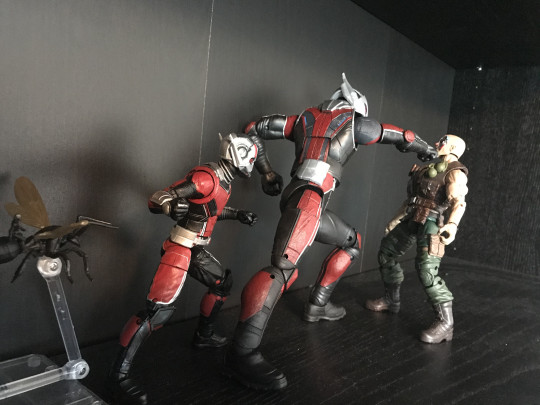 Display by Ralfyc