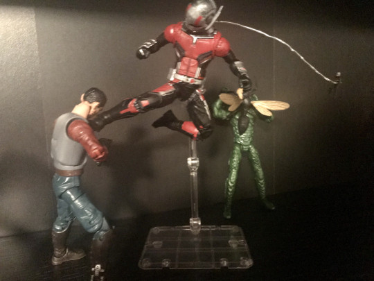 Display by Ralfyc