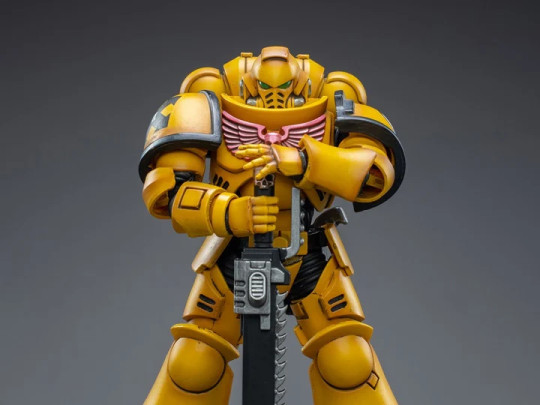 Imperial Fists Intercessors