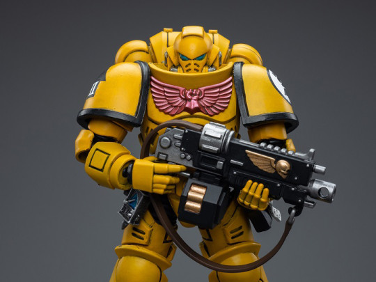 Imperial Fists Intercessors (Ver. 2)