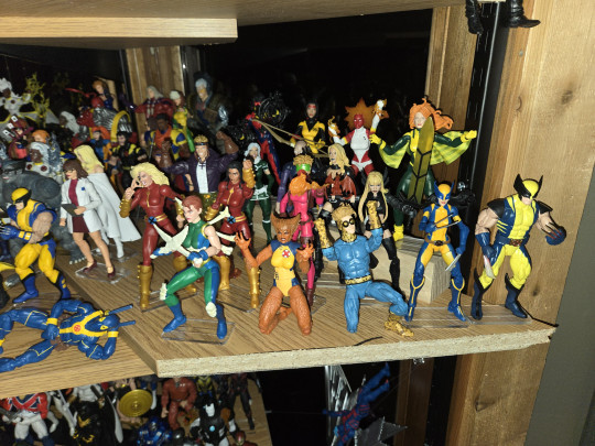 Display by Major Mike