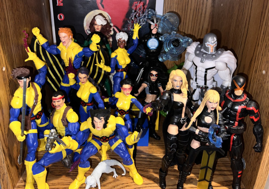 Display by SlickCollects