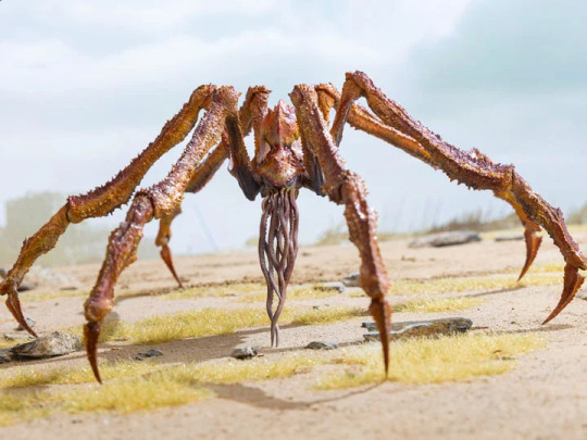Scylla