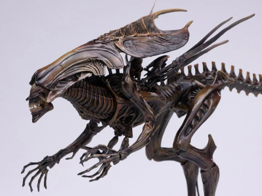 Hiya Toys Aliens: Crouching Alien Warrior Figura De Acción A Escala 1