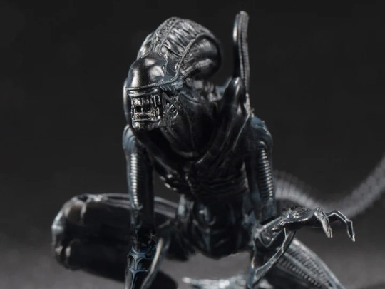 Alien Warrior
