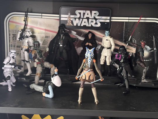 Display by Bronze_Collector