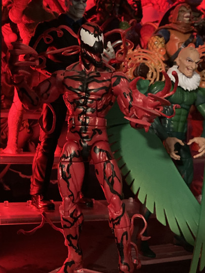 Display by Dracopelta