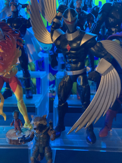 Display by Dracopelta