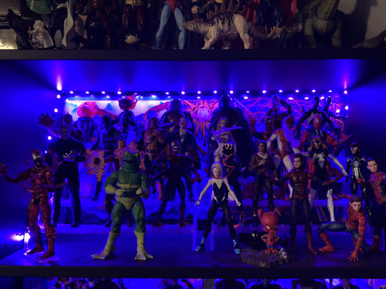 Display by Dracopelta