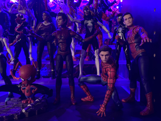 Display by Dracopelta