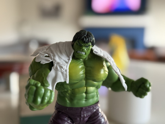 Display by VintimusPrime: Hulk
