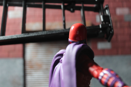 Display by VintimusPrime: Magneto