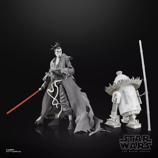 Display by Theinfamoustmf: The Ronin & R5-D56 Two-Pack (Visions)