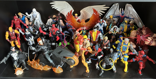 Display by Swisshammer