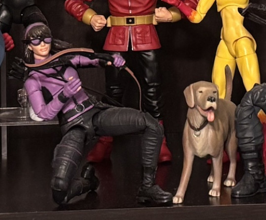 Display by Nerdy: Kate Bishop