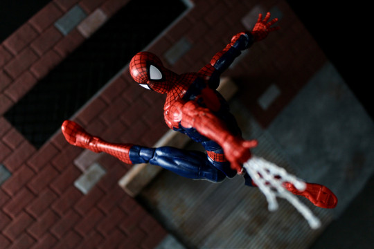 Display by VintimusPrime