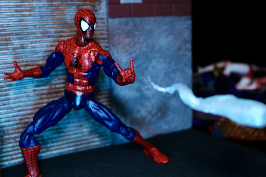 Display by VintimusPrime