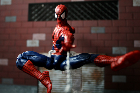 Display by VintimusPrime