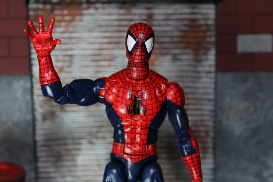 Display by VintimusPrime