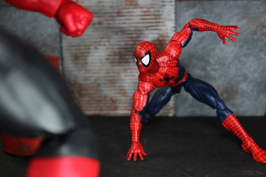 Display by VintimusPrime