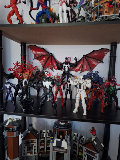 Display by Rome00150