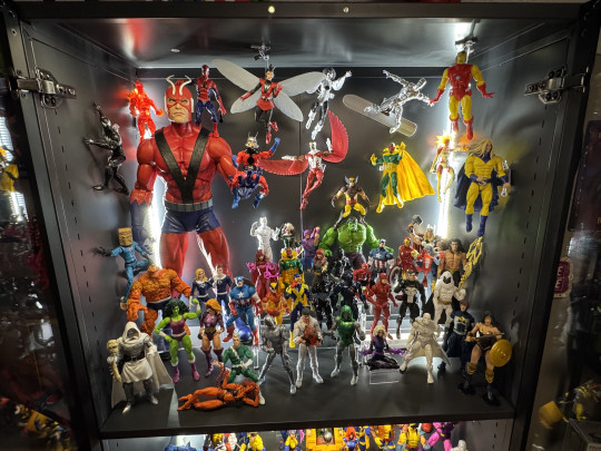 Display by Better_Off_Dead85
