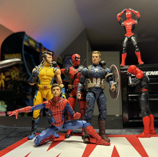 Display by Better_Off_Dead85