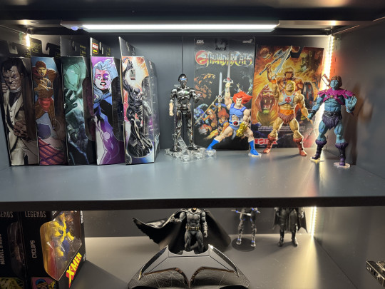 Display by Better_Off_Dead85