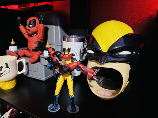 Display by Better_Off_Dead85